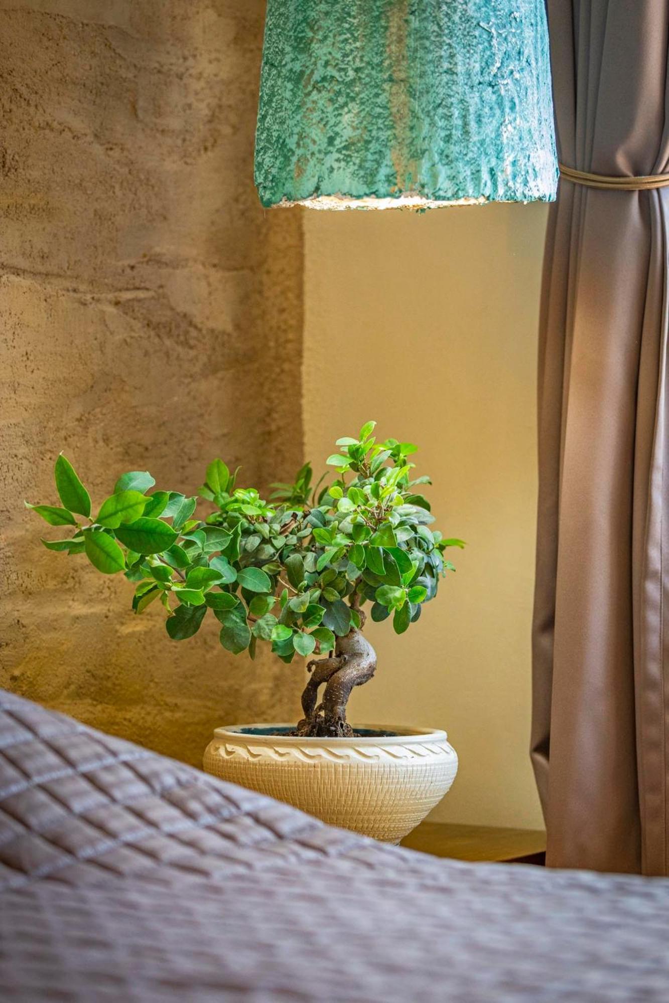 Gaia Blue Villa Колимбия Екстериор снимка